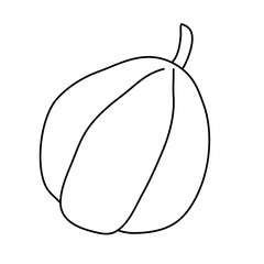 Pear shaped pumpkin in doodle style.  Isolated outline. Hand drawn vector illustration in black ink on white background. Great for  coloring books. Farming garden theme.