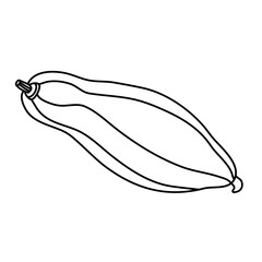 Elongated pumpkin in doodle style.  Isolated outline. Hand drawn vector illustration in black ink on white background. Great for  coloring books. Farming garden theme.