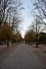 Rua no meio de um parque em Amsterdão