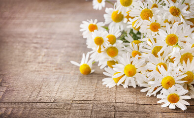 Nice summer chamomile bouquet
