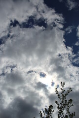 Beautiful clouds of feathers. Sky landscape. Abstract background of clouds. Lush clouds. The sun is shining behind the clouds