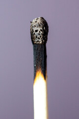 Burnt out match
