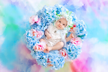 beautiful baby 6 months in a hat made of flowers, lying in a basket with hydrangeas on a blue background, a small child among flowers
