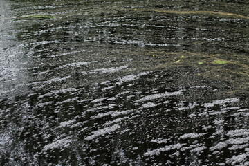 Dark peat pond in the middle of a dense forest. Dark wat