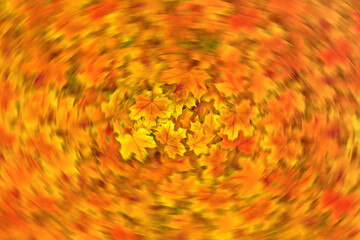 Swirly twisted autumn fallen leaves