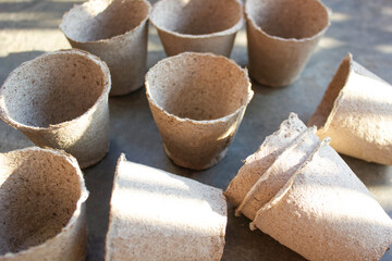 Peat cups for seedlings. Plants