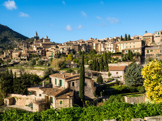 Fototapeta na wymiar panoramic view of the village of provence valldemossa