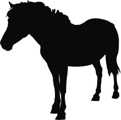 horse silhouette vector