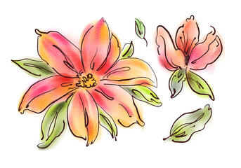 Watercolor  flowers isolated on a white background