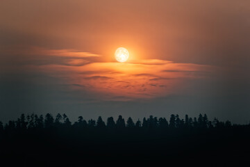 Twilight mood with a full moon and clouds above a forest