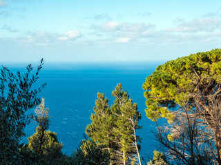 road to the sea Mallorca