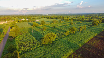 Obraz premium Aerial top view of agriculture field