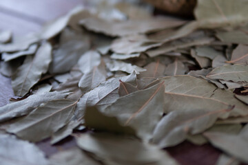 bay leaves on the table