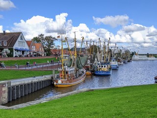 boats in the harbor