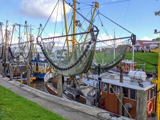 fishing boats in the harbour