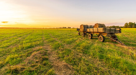 Fototapeta na wymiar Old vintage carriage with hay stacks in green shiny field with beautiful sunset , hay cart in country valley during sunrise , wagon with haystacks and scenic view