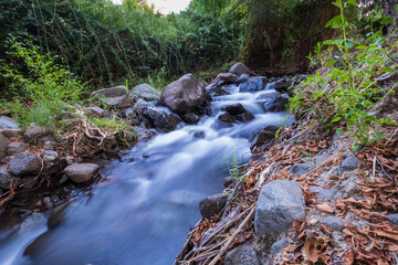 Naklejka na ściany i meble Pure water stream flowing over rocky mountain terrain in the Kakopetria forest, Troodos, Cyprus