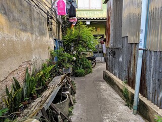 narrow street with plants in bangkok