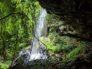 waterfall in the woods