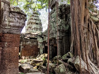 ta prohm temple angkor cambodia