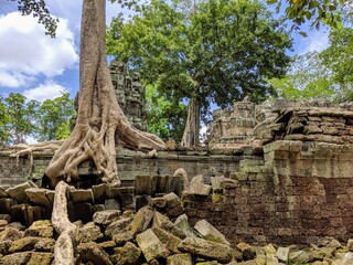 Bäume wachsen über die Ruinen von Angkor Wat
