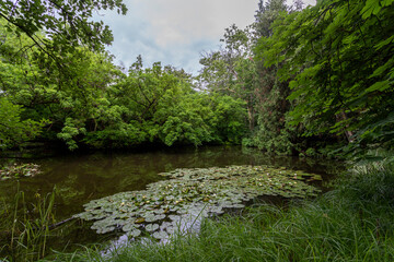 Fototapeta na wymiar Botanical garden of Vacratot, Hungary