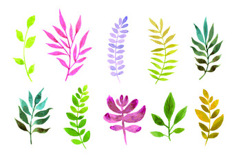 vector illustration set of colorful leaf branches.