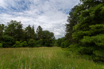 Botanical garden of Vacratot, Hungary