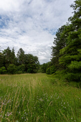 Botanical garden of Vacratot, Hungary