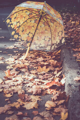 Umbrella lies on the autumn leaves. Sunny autumn day. Umbrella in the fall foliage. - 369701647