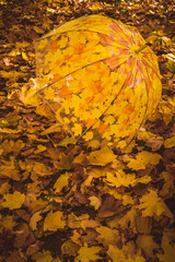 Umbrella lies on the autumn leaves. Sunny autumn day. Umbrella in the fall foliage. - 369701848