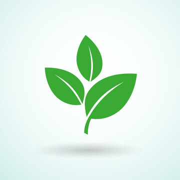 Leaves icon isolated on white background. Elements for eco and bio logos. Vector illustration.