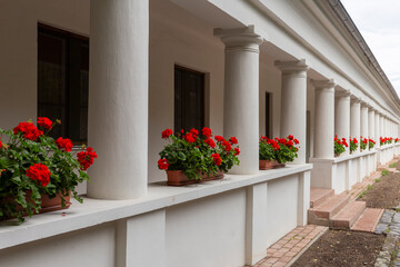 Traditional veranda with geraniums