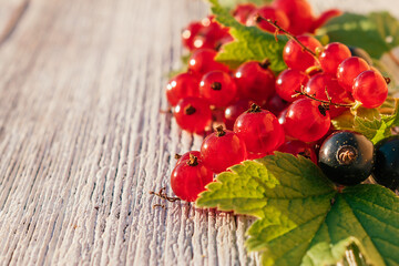 Red and black currant berries with leaves on a white wooden background. Summer and harvest concept,concept of vitamin berries. Selective focus with shallow depth of field, copy space