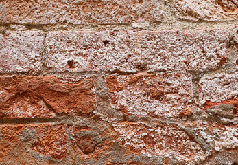 dried salt on a brick wall beside a canal in Venice