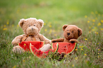Teddy bear with a slice of watermelon
