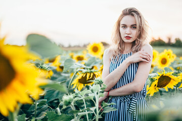 A young girl in a shirt stands in sunflowers