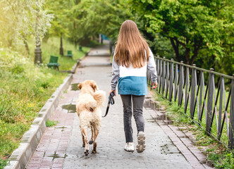 Girl walking dog along wet alley