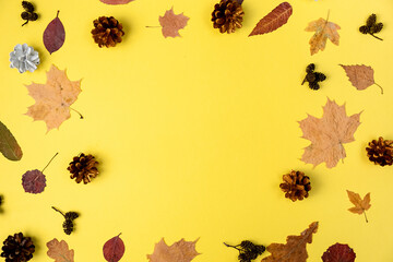 Autumn composition. Dried leaves, small pine cone on yellow studio background for advertisement. Autumn, fall, thanksgiving day concept. Flat lay, top view