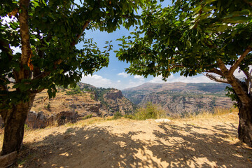 Panoramic view of the Kadisha Valley in Lebanon framed by trees. The Holy Valley is the place of the ancient Christian community. Beautiful Lebanese mountain landscape