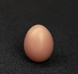 One Egg Standing On A Dark Background