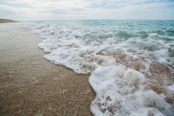 Wave of the Sea on a Beach