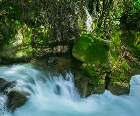 Nahal Hermon Nature Reserve (Banyas) - strong rushing water of the Banyas stream flowing among moss-covered stones; Golan Heights, Northern Israel