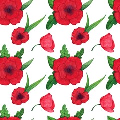 Watercolor seamless pattern with red poppies