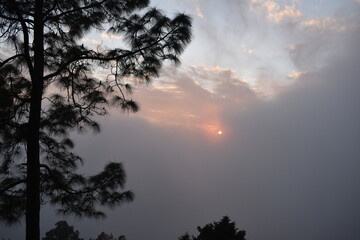 Obraz premium Beautiful picture of sunset and tree