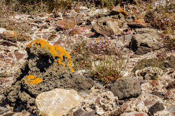 Rocks of volcanic origin on the beach of the island of Lihada-Greece 
