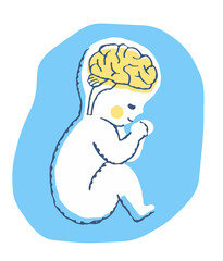 赤ちゃんの脳