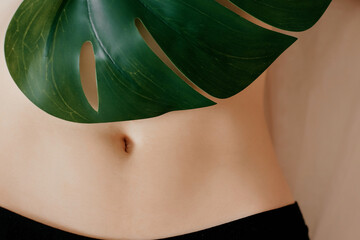 bare stomach with the navel with green leaf of monstera