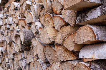 Fototapeta premium Dry firewood storage for kindling stoves in the logging industry. Cut tree trunks are air dried. Renewable fuel for traditional stove heating. Heating materials in winter in the northern regions.