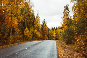 Obraz premium Beautiful moody scene of highway through Autumn forest.
